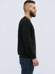 Свитшот CARICA модель 10818 Фото