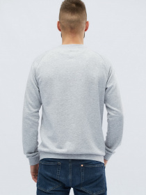 Свитшот CARICA модель 10814 Фото