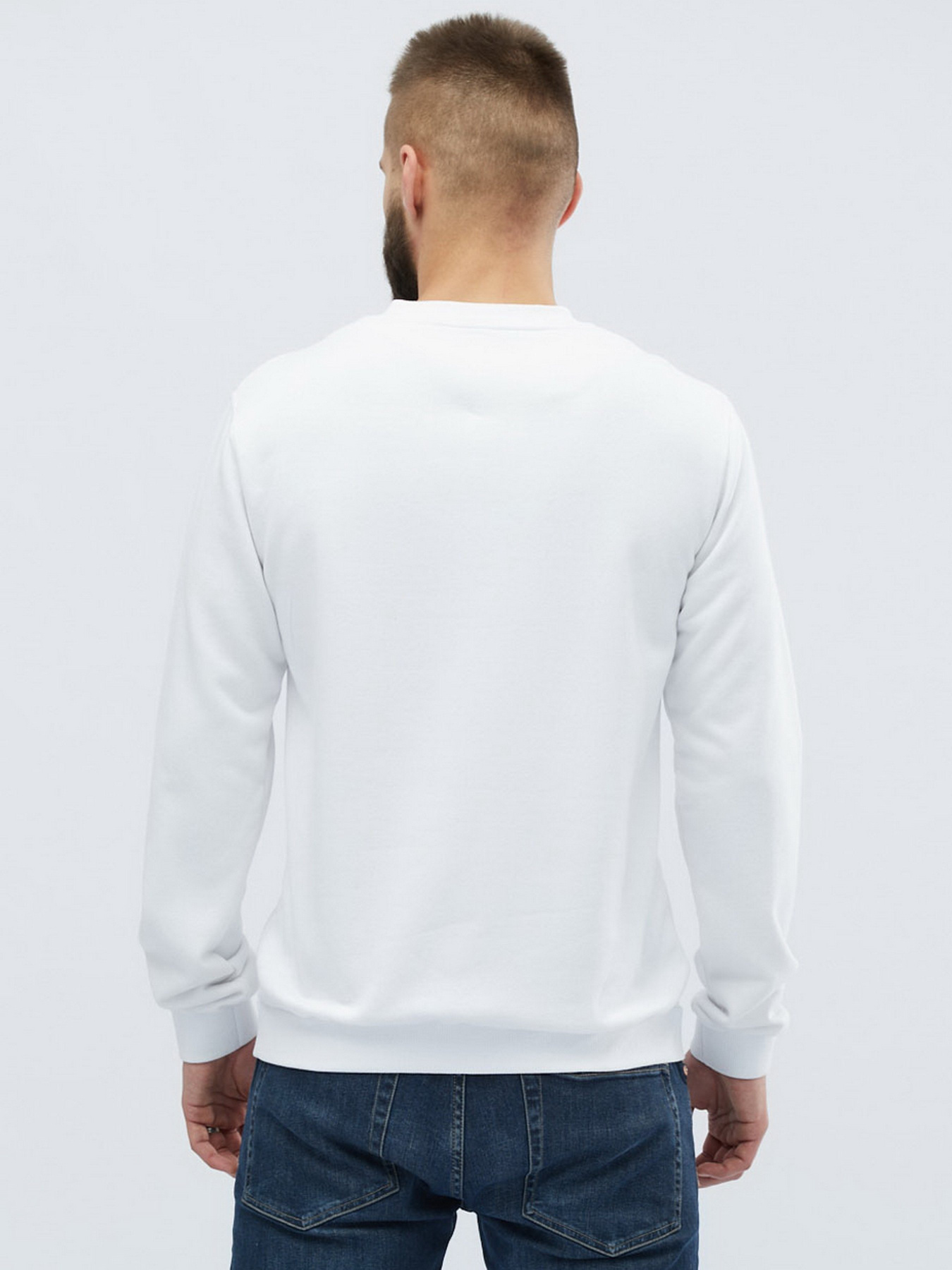 Свитшот CARICA модель 10713 Фото