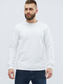 Світшот CARICA модель 10713 Світшот CARICA модель 10713 Фото