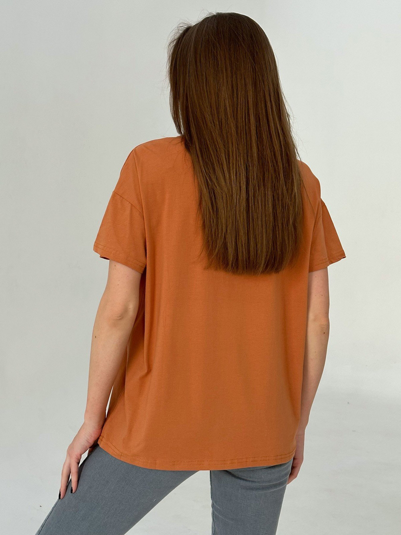 Футболка ISSA Plus модель WN20-460_terracotta Фото