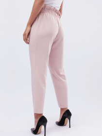 Брюки повседневные CARICA модель BR409525 Фото