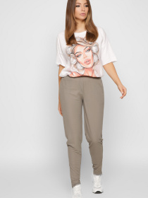 Брюки повседневные CARICA модель BR42291 Фото