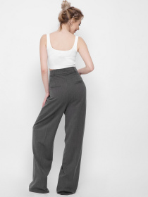 Повсякденні штани CARICA модель 660029 Повсякденні штани CARICA модель 660029 Фото