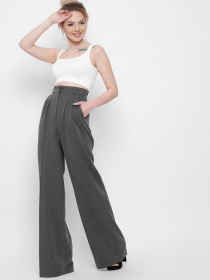 Повсякденні штани CARICA модель 660029 Повсякденні штани CARICA модель 660029 Фото