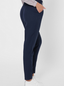 Повсякденні штани CARICA модель BR42462 Фото