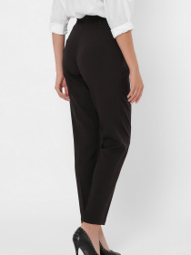 Повсякденні штани CARICA модель BR42468 Фото