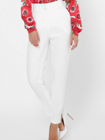 Повседневные штаны CARICA модель BR42463 Фото