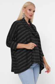 Джемпер CARICA модель 102028 Фото