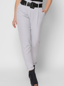 Повсякденні штани CARICA модель BR42534 Фото