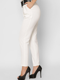 Повседневные штаны CARICA модель BR42523 Фото