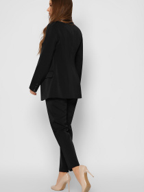 Повсякденні штани CARICA модель BR42528 Фото