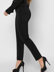 Повсякденні штани CARICA модель BR42548 Фото