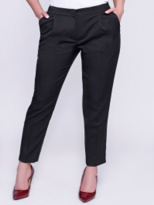 Повседневные штаны CARICA модель BR42378 Фото