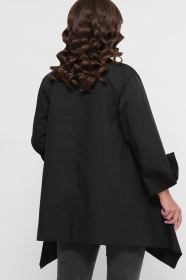 Рубашки CARICA модель 601018 Фото