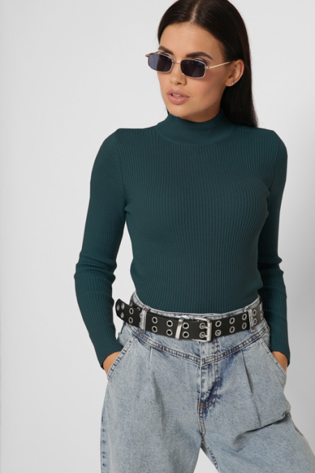 Водолазка CARICA модель SV651318 Фото