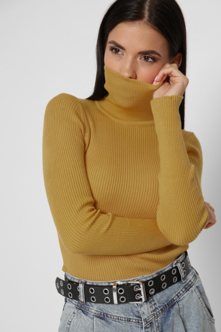 Водолазка CARICA модель SV651224 Фото