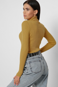 Водолазка CARICA модель SV651224 Фото