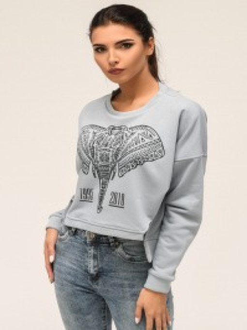 Свитшот CARICA модель SV75684 Фото