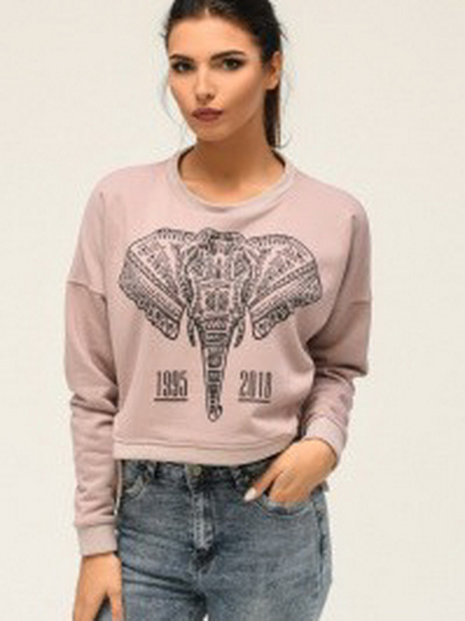 Свитшот CARICA модель SV756821 Фото