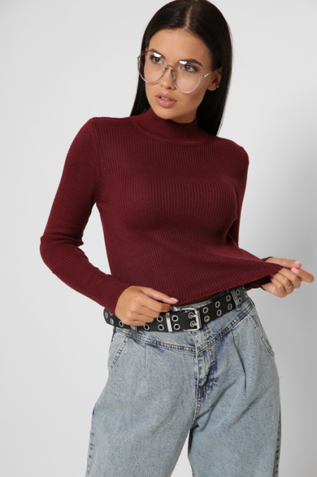 Водолазка CARICA модель SV651316 Фото