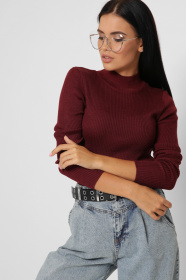 Водолазка CARICA модель SV651316 Фото