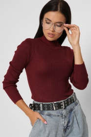 Водолазка CARICA модель SV651316 Фото