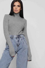 Водолазка CARICA модель SV65494 Фото