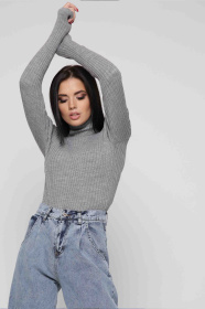 Водолазка CARICA модель SV65494 Фото