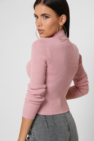 Водолазка CARICA модель SV651321 Фото