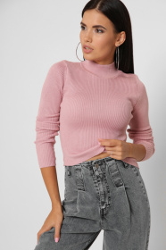 Водолазка CARICA модель SV651321 Фото