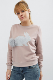 Світшот CARICA модель SV752015 Фото