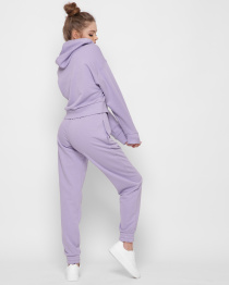 Спортивні штани CARICA модель BR427823 Фото