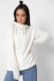 Худи CARICA модель SV65393 Фото