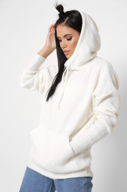 Худи CARICA модель SV65393 Фото