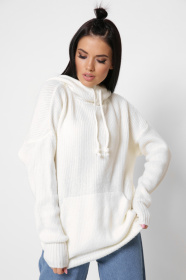 Худи CARICA модель SV65393 Фото