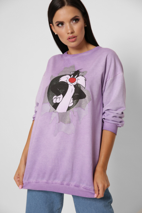 Свитшот CARICA модель SV652523 Фото