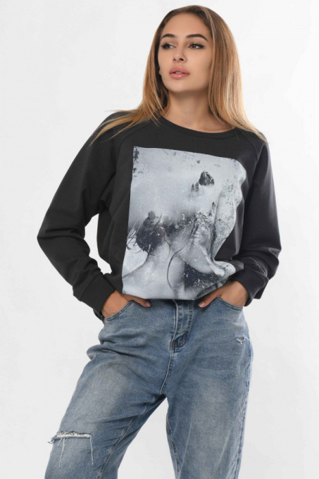 Свитшот CARICA модель SV7585290038 Фото