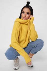 Худи CARICA модель SV65396 Фото