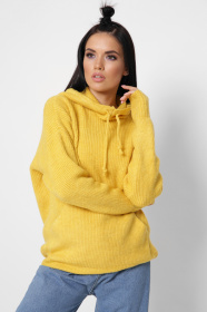 Худи CARICA модель SV65396 Фото