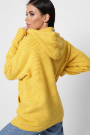 Худи CARICA модель SV65396 Фото