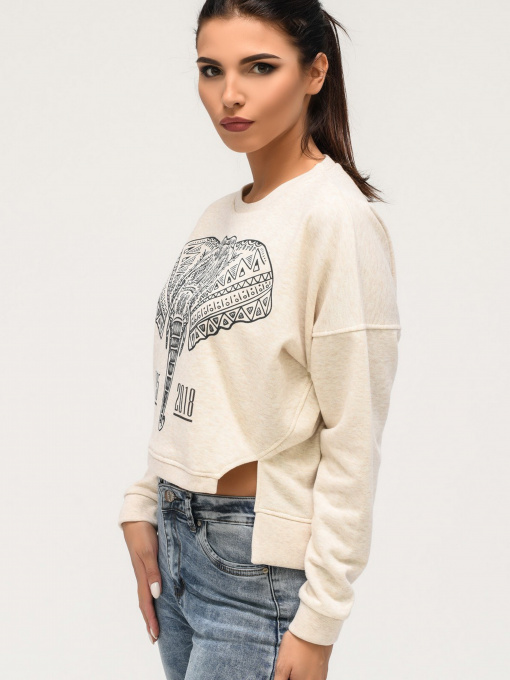 Свитшот CARICA модель SV756810 Фото