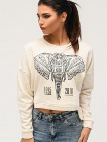 Свитшот CARICA модель SV756810 Фото