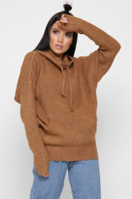 Худи CARICA модель SV653926 Фото