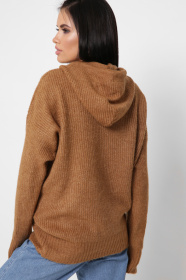 Худи CARICA модель SV653926 Фото