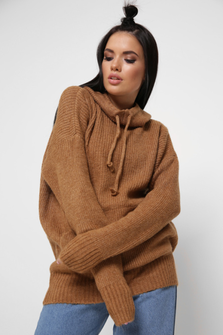 Худи CARICA модель SV653926 Фото