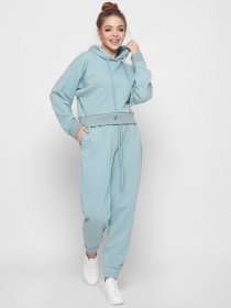 Штаны спортивные CARICA модель BR42787 Фото