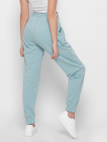 Штаны спортивные CARICA модель BR42787 Фото