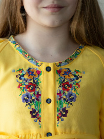 Вышитое платье Едельвіка модель 51-19-00 Фото