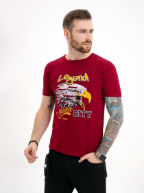 Футболка ISSA Plus модель GN4-110_burgundy Фото